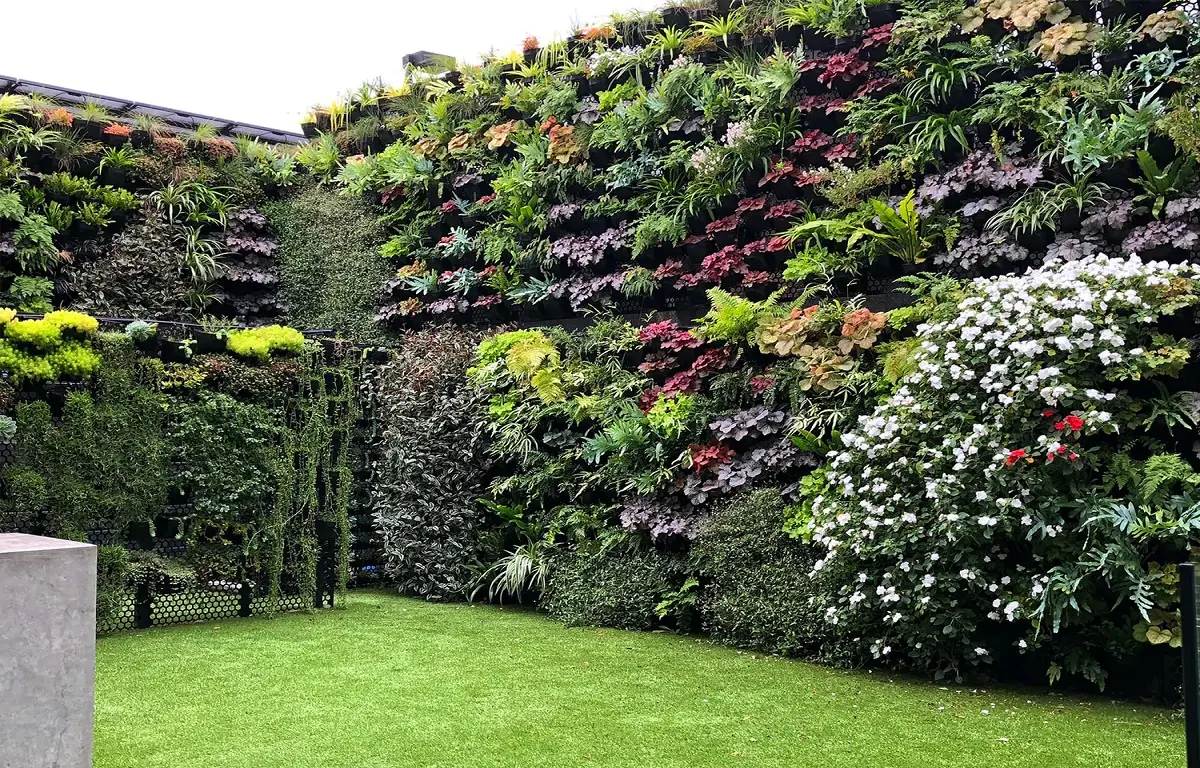 aaa